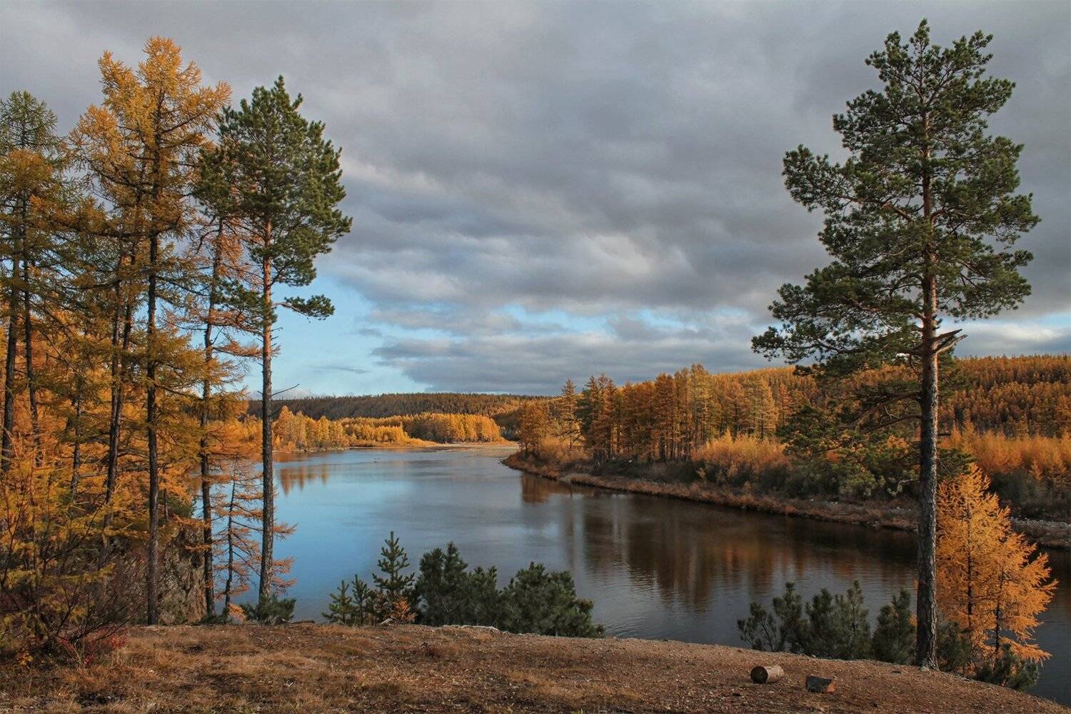 якутия, река чульман, нерюнгри, осень, Евгения Левина