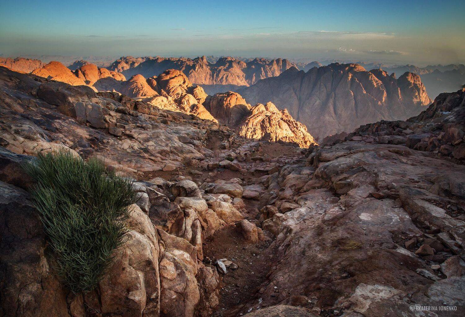 , Екатерина Ионенко