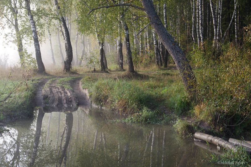 У воды фото превью