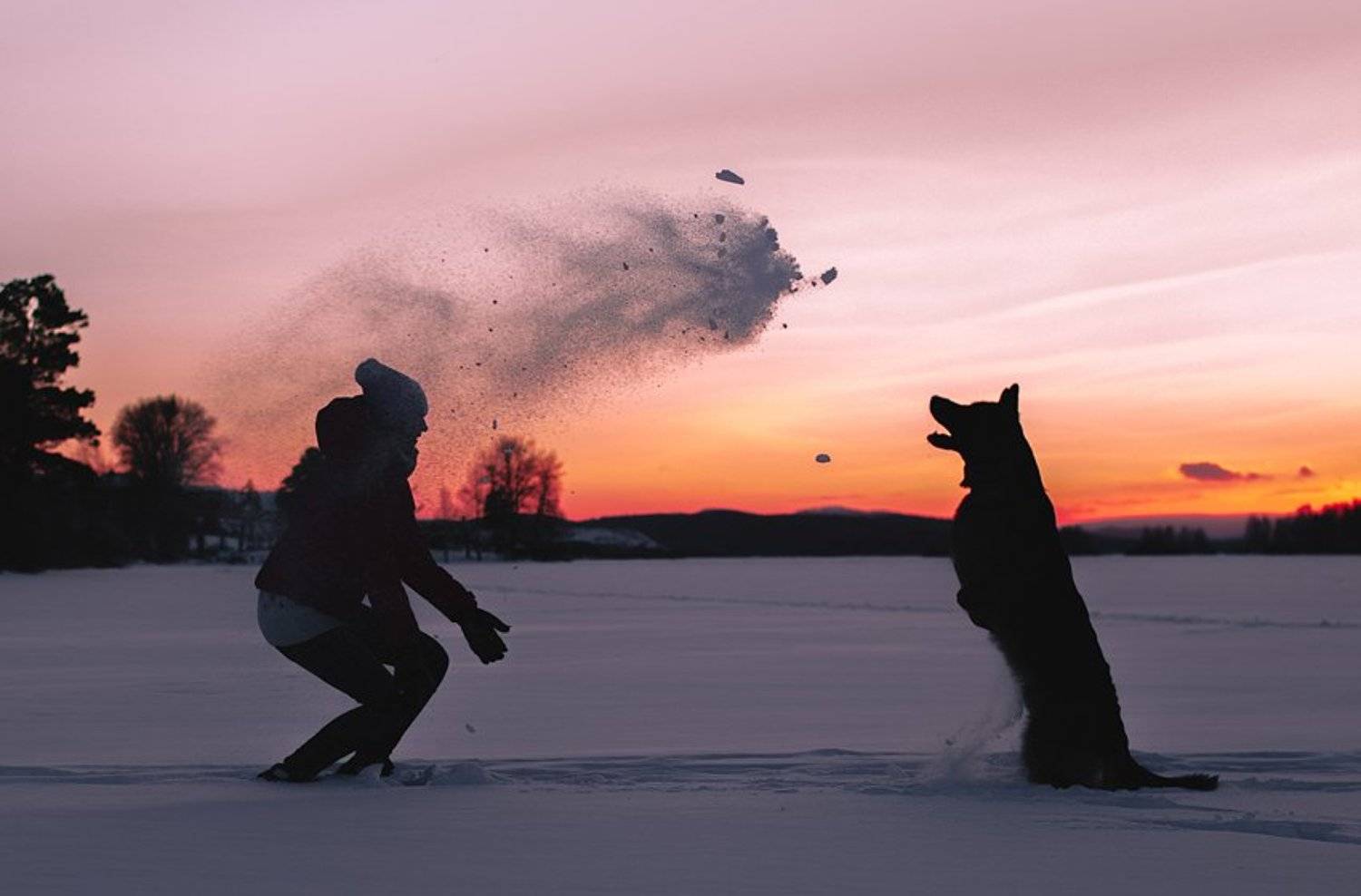 , Аксёнова Олеся