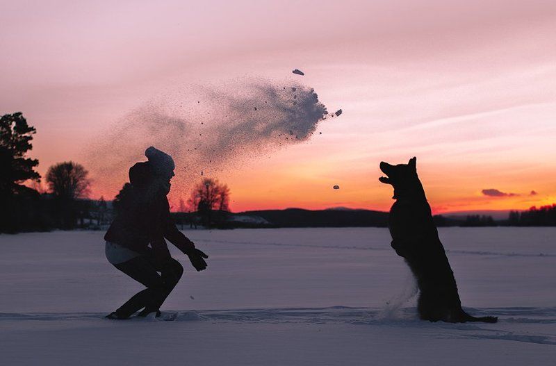 фото превью