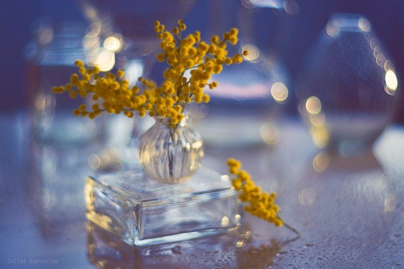 аромат весны фото превью