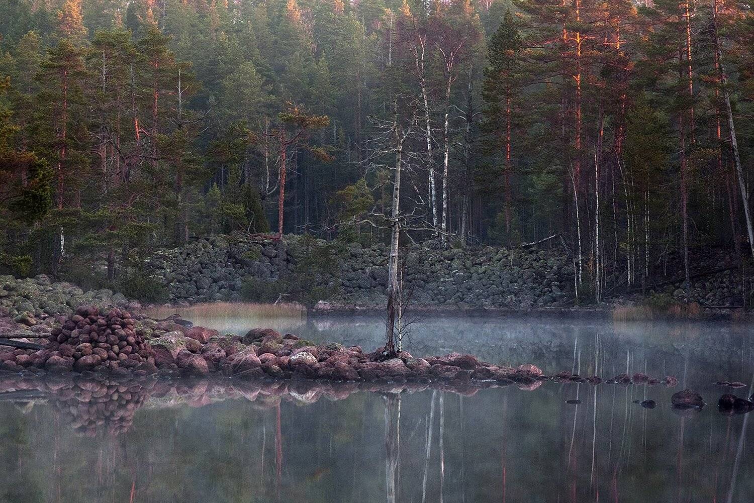 карелия, Виктор