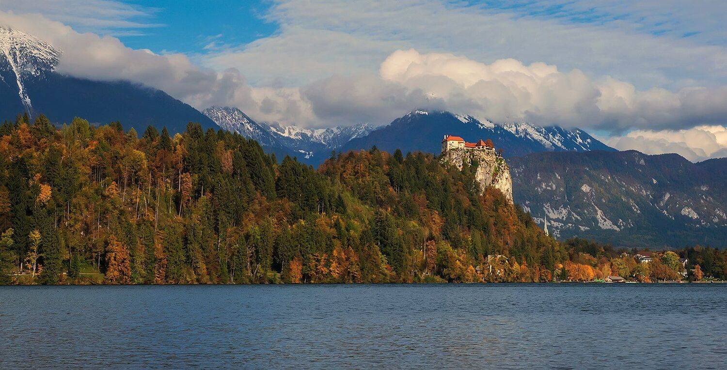 , Игорь Дубровский