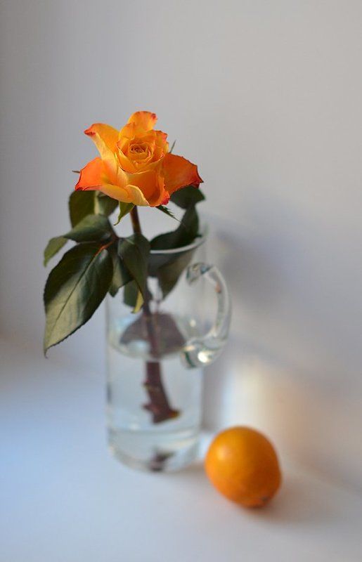 роза,графин,лемон  фото превью