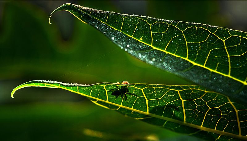 The Way i See the World фото превью