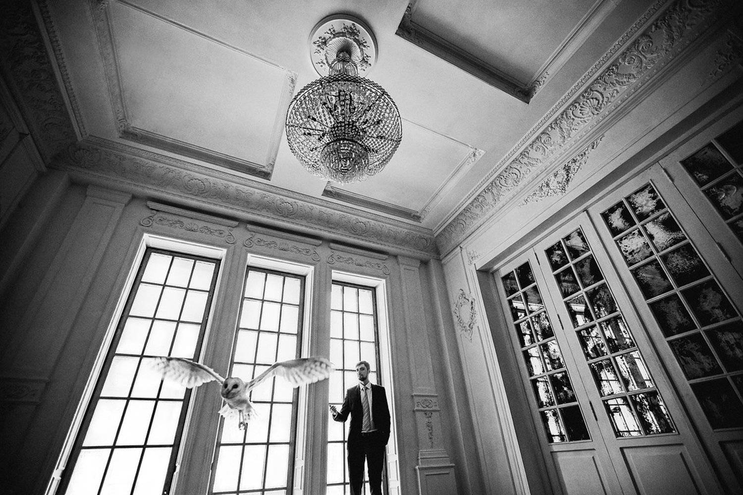 wedding, свадьба, сова, Слава Гребенкин