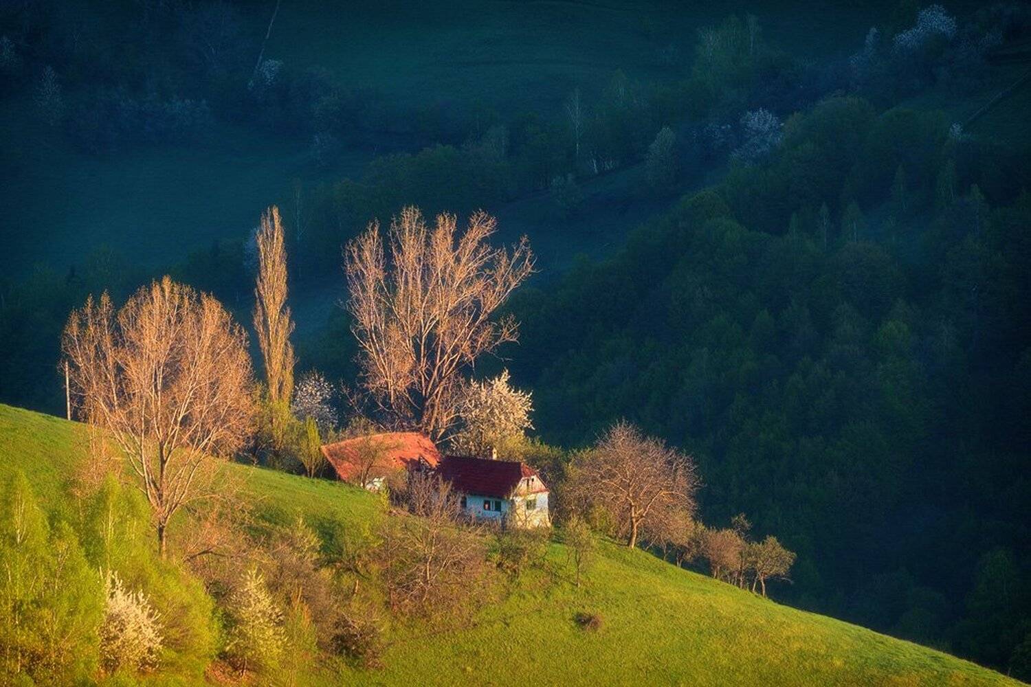 Автор: Stefan Chirobocea , Stefan Chirobocea