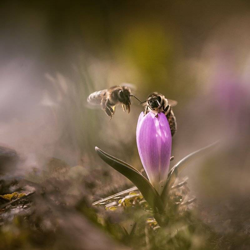 , Татьяна Аверина