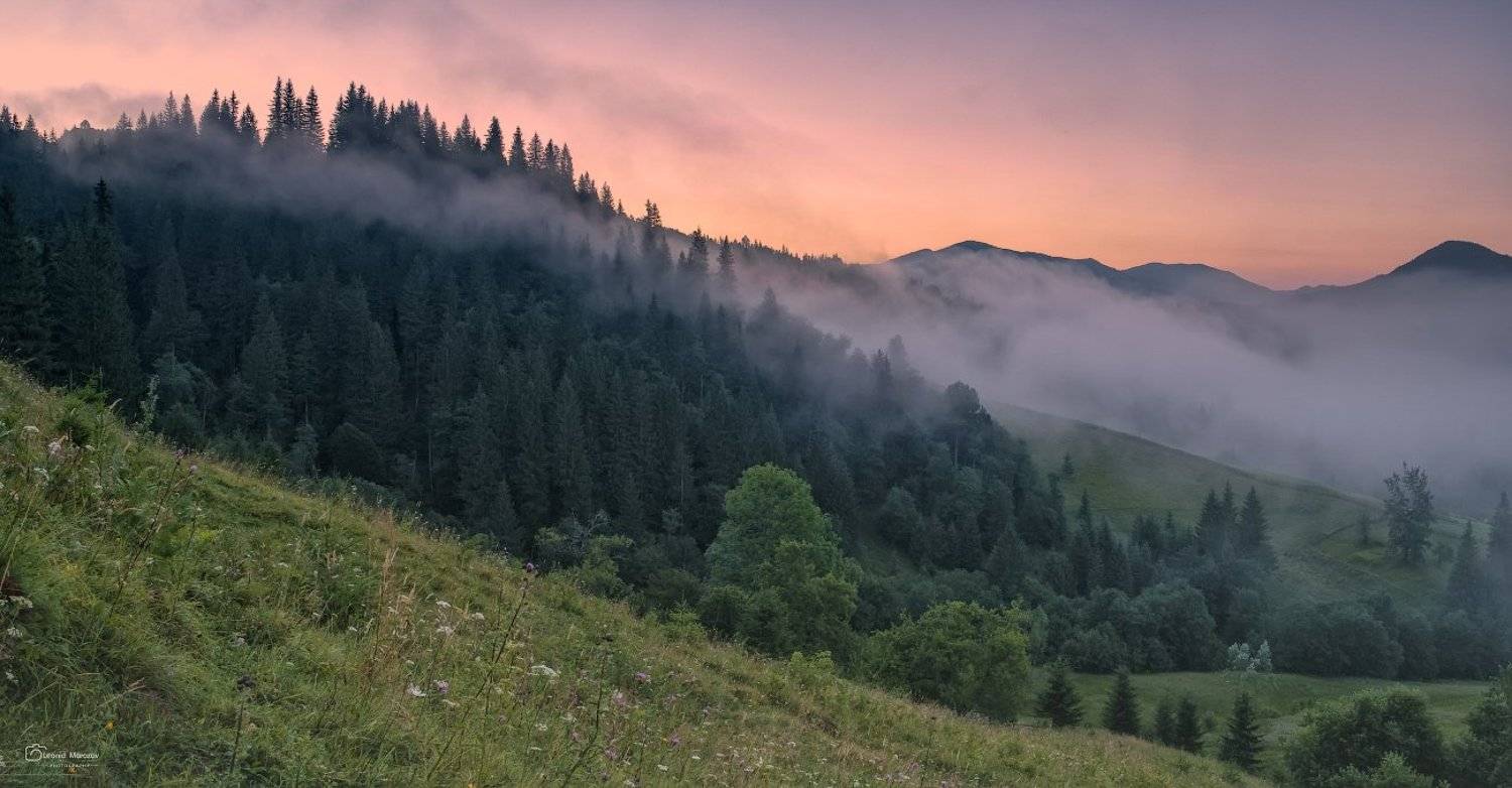 , Леонид Морозов