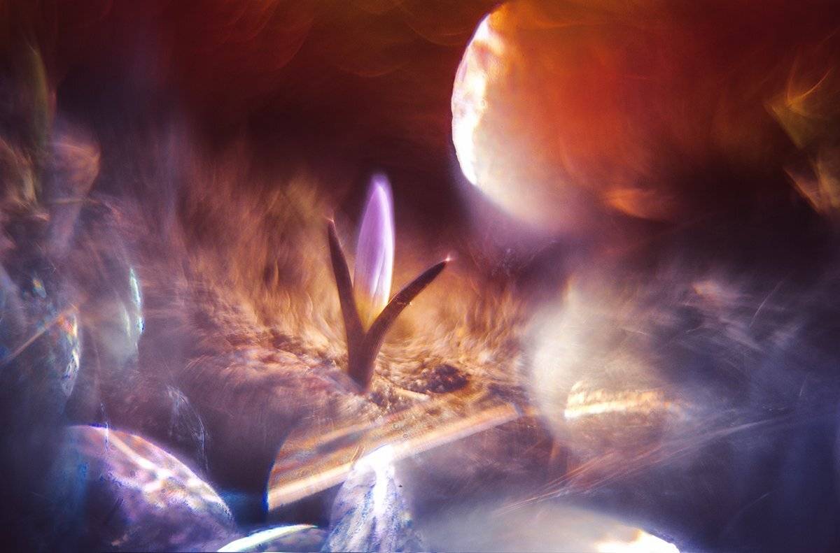 , Татьяна Аверина