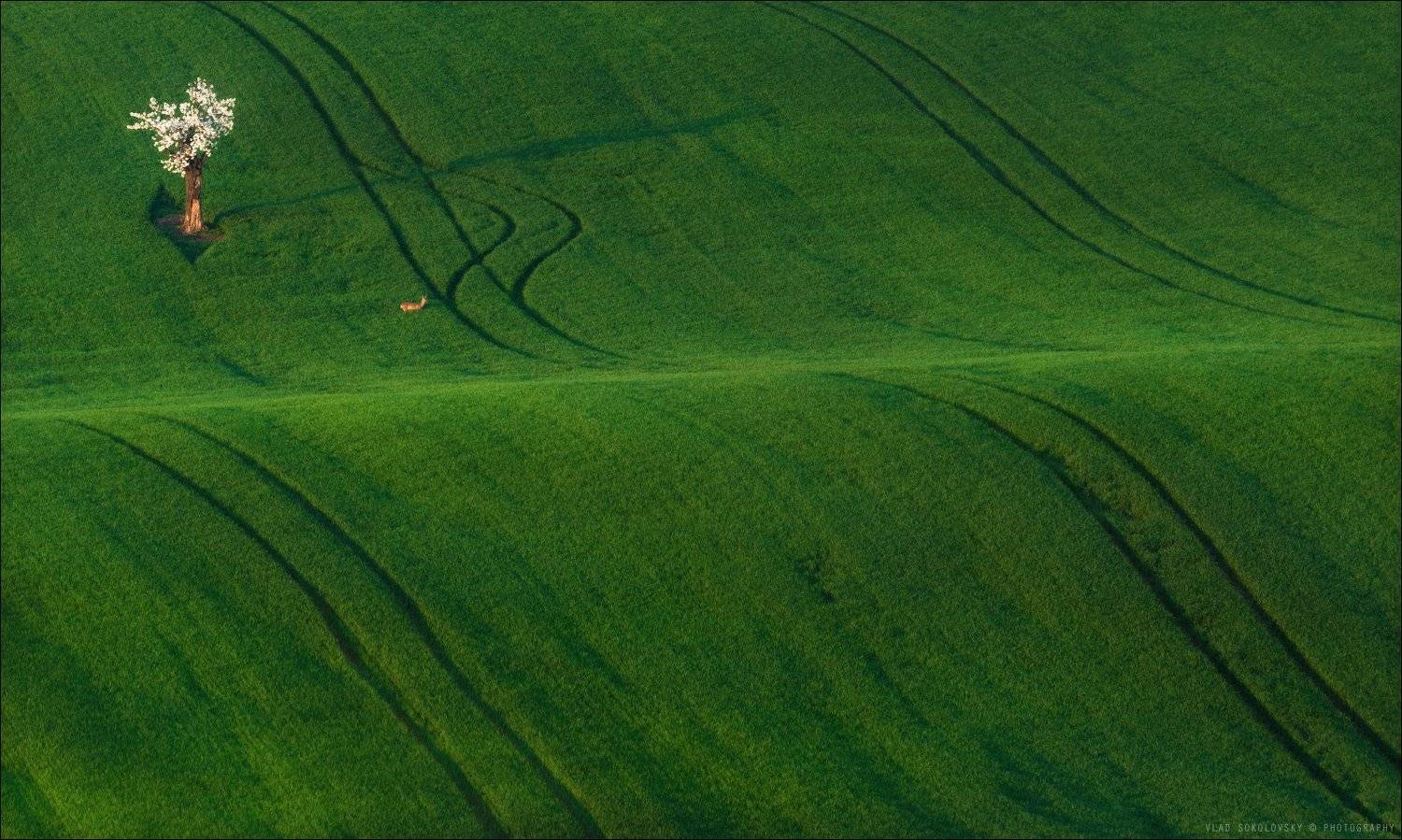 Чехия, Южная Моравия, весна, фототур, landscape, South Moravian,, Влад Соколовский