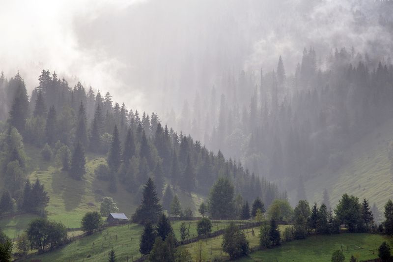 romania,trees,nature,mist,land,bucovina, My beautiful Bucovina фото превью