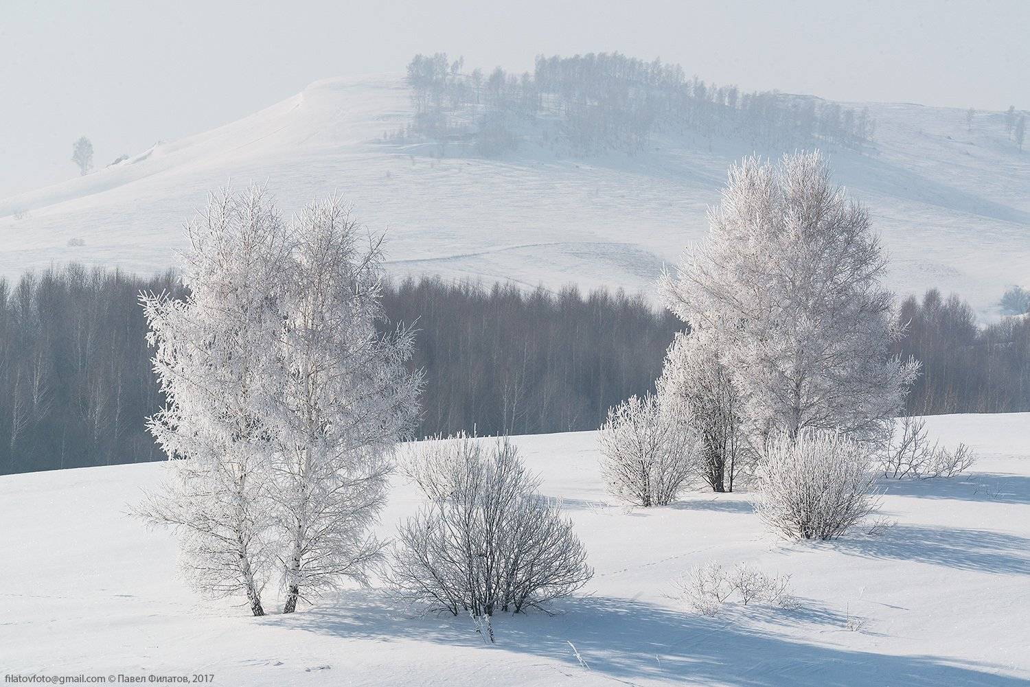 , Павел Филатов