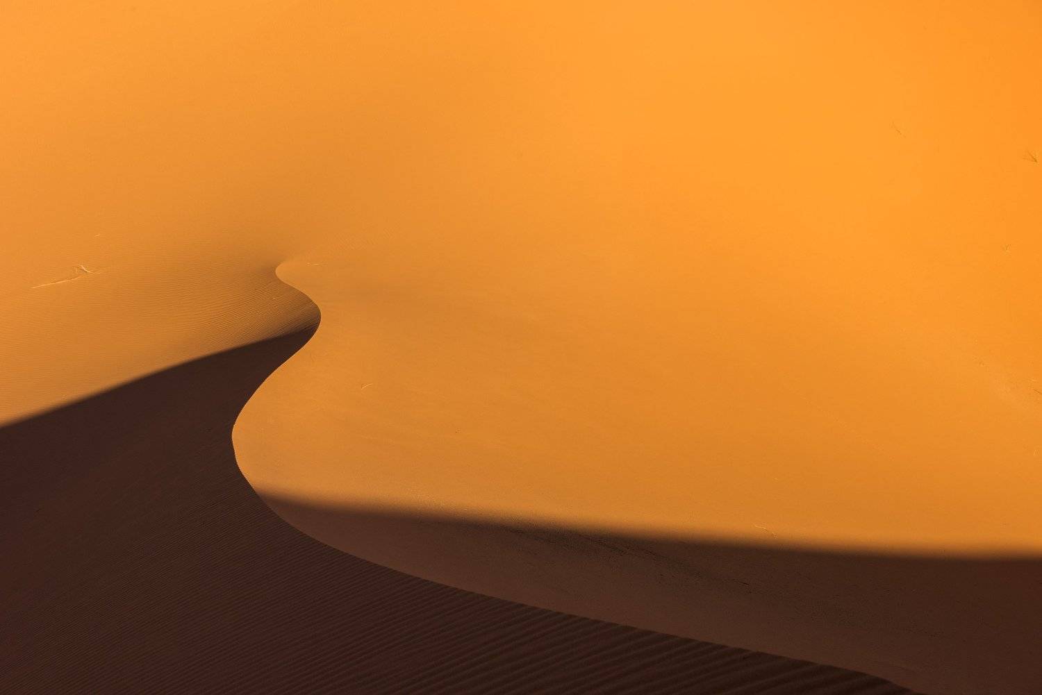 Сахара, Сергей Ершов