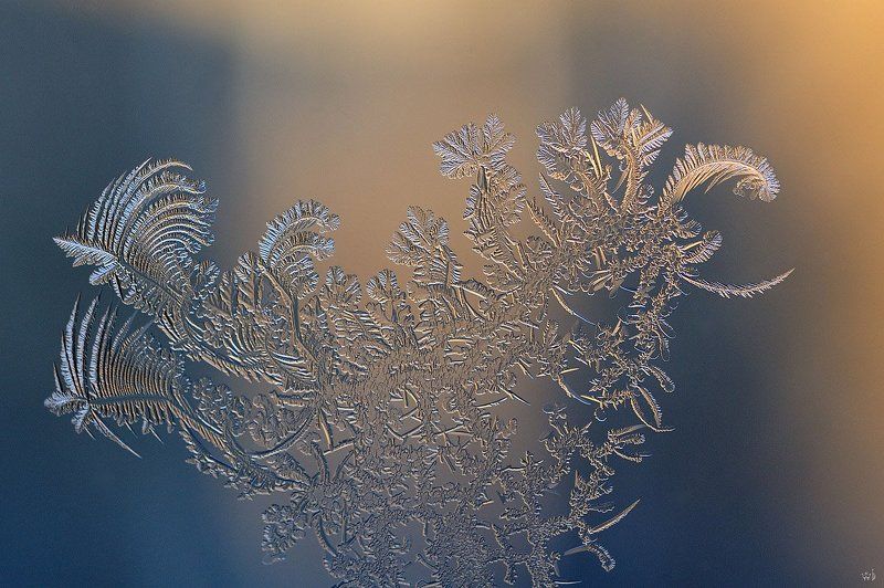 мороз, узоры, зима, окно Сказка фото превью