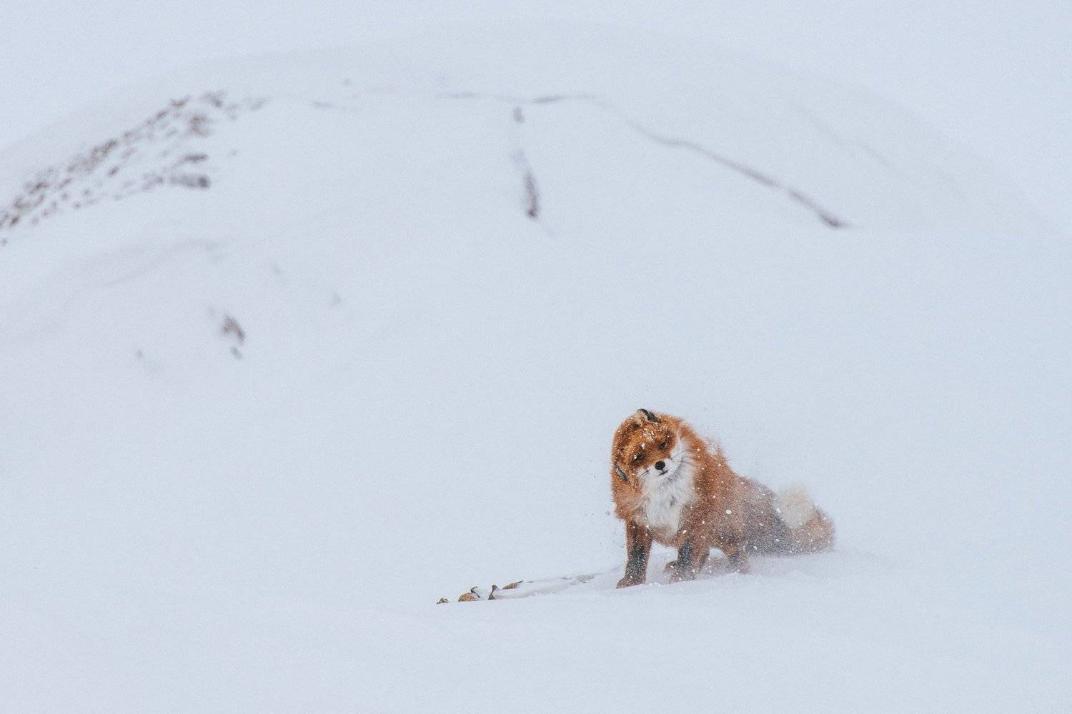 , Иван Кислов