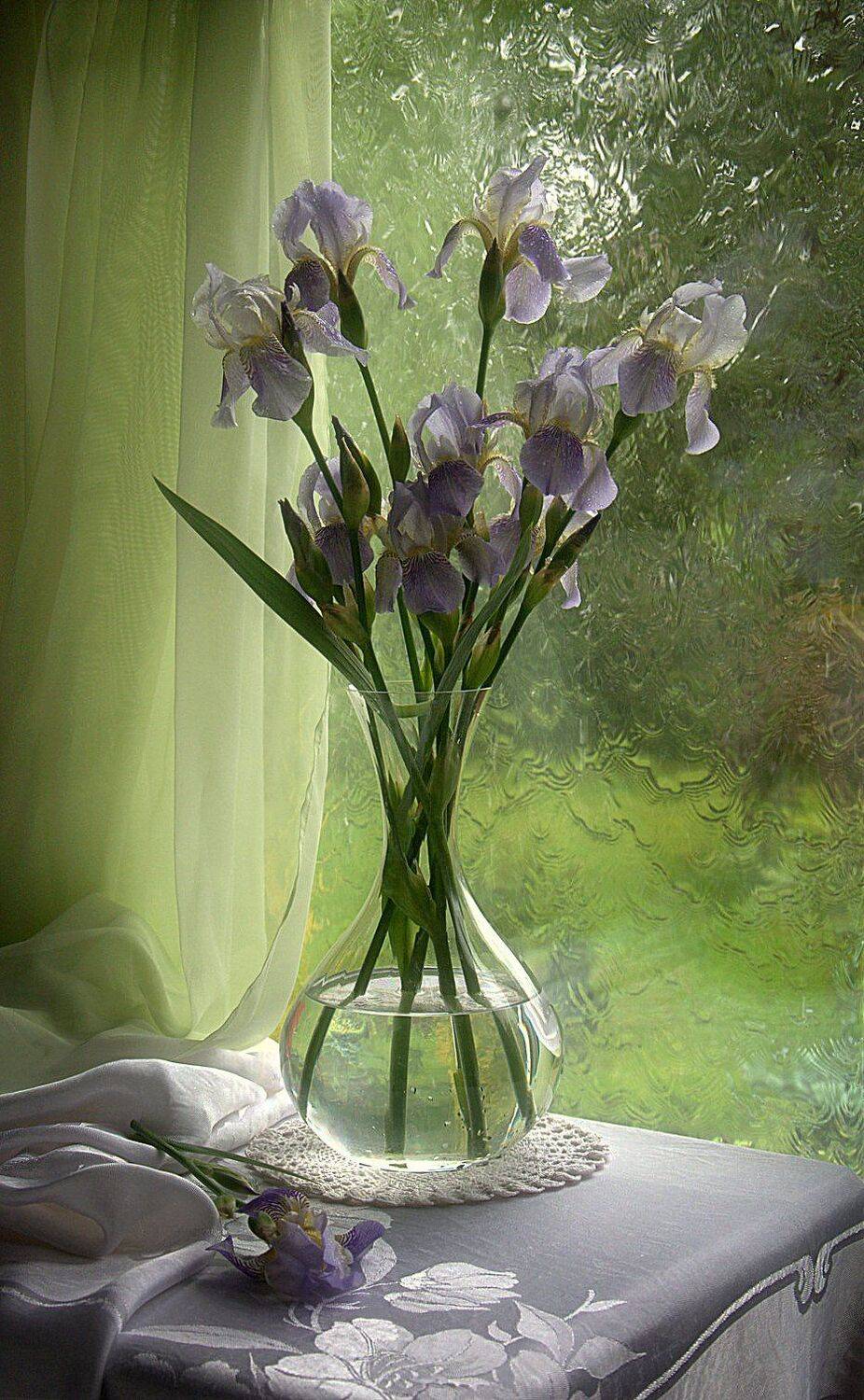 сергей алексеев, натюрморт, Сергей Алексеев