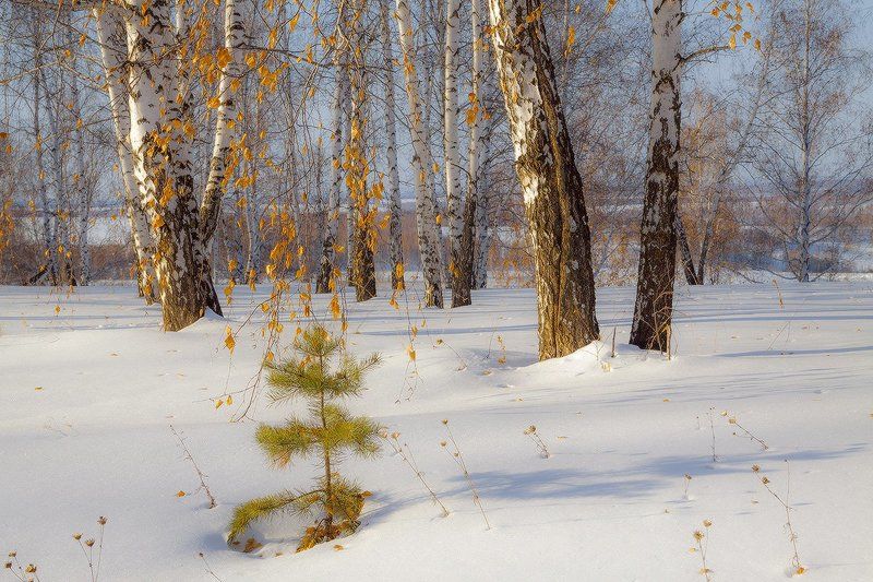 *** фото превью