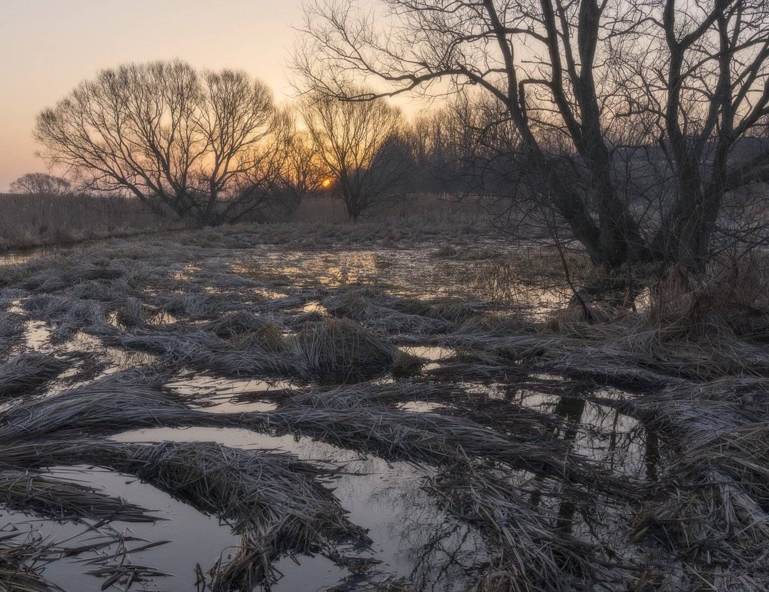 , Сергей Добровольский