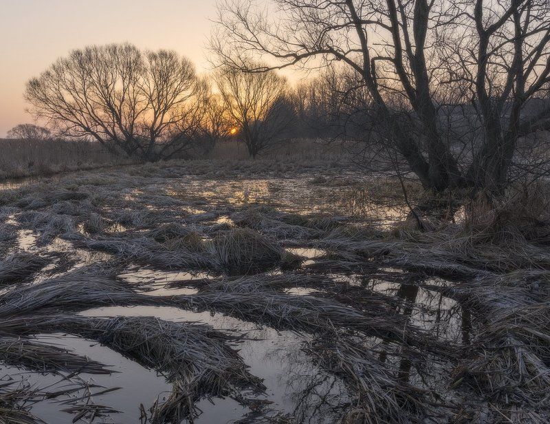 Утро в марте.... фото превью