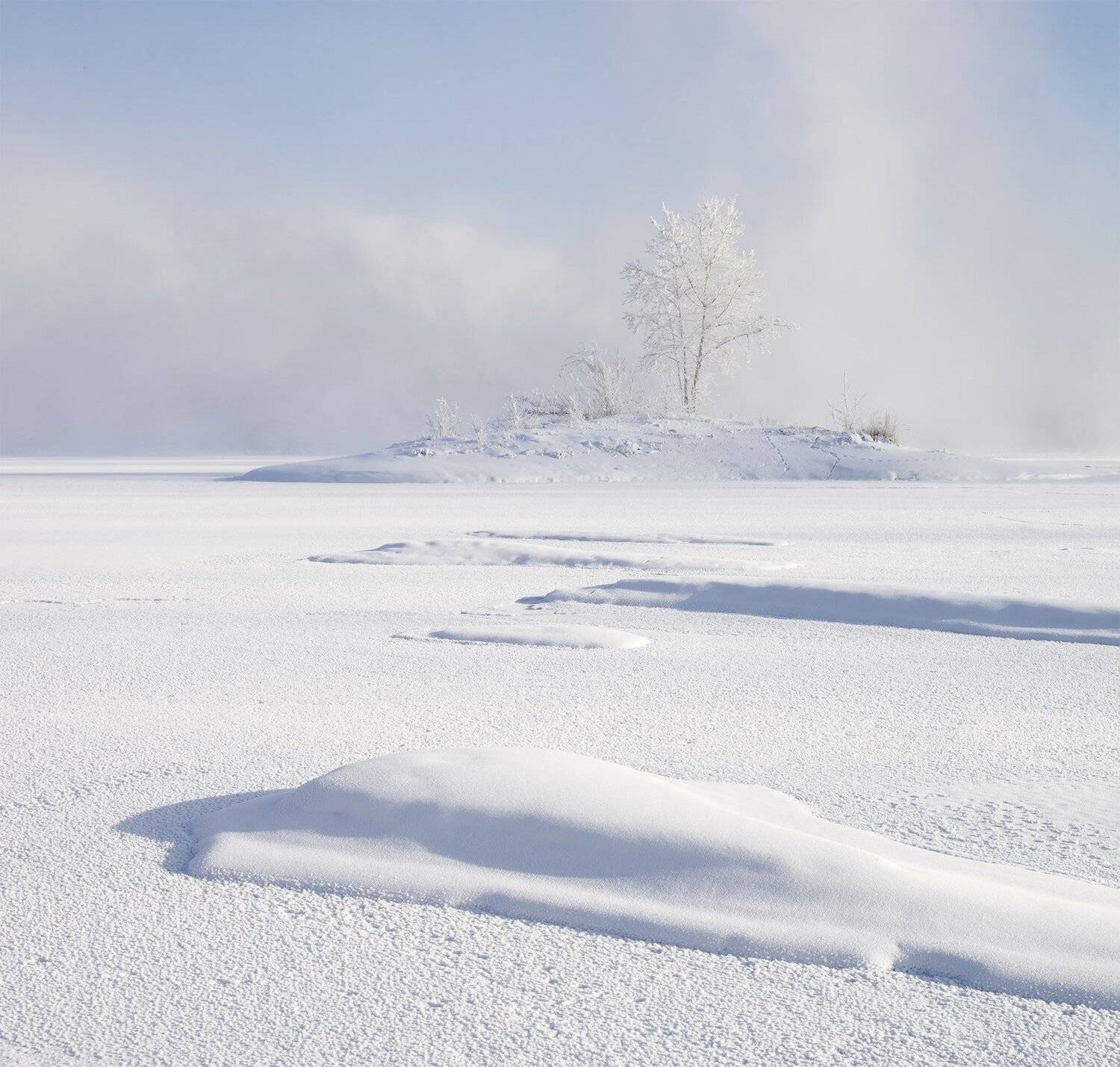 , Лещёнок Александр
