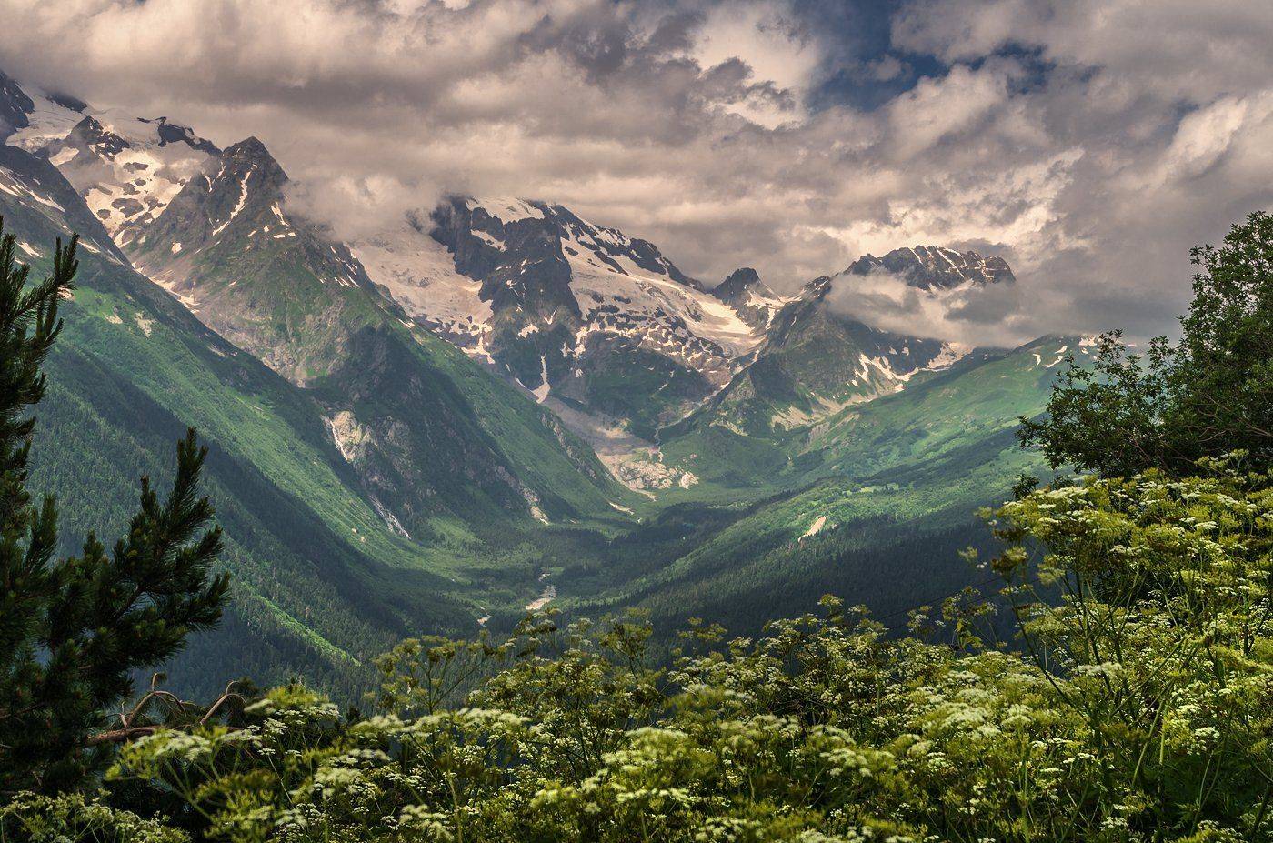 , Игорь Мелекесцев