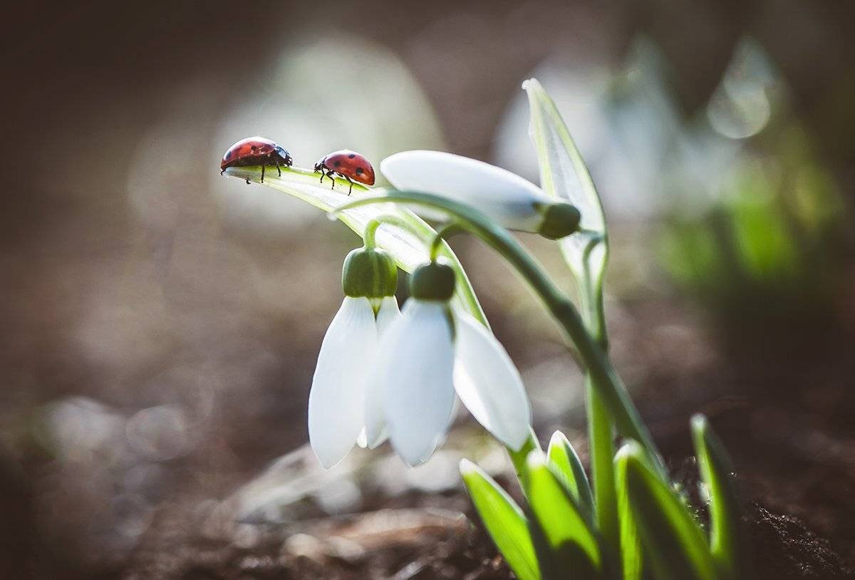 , Татьяна Аверина