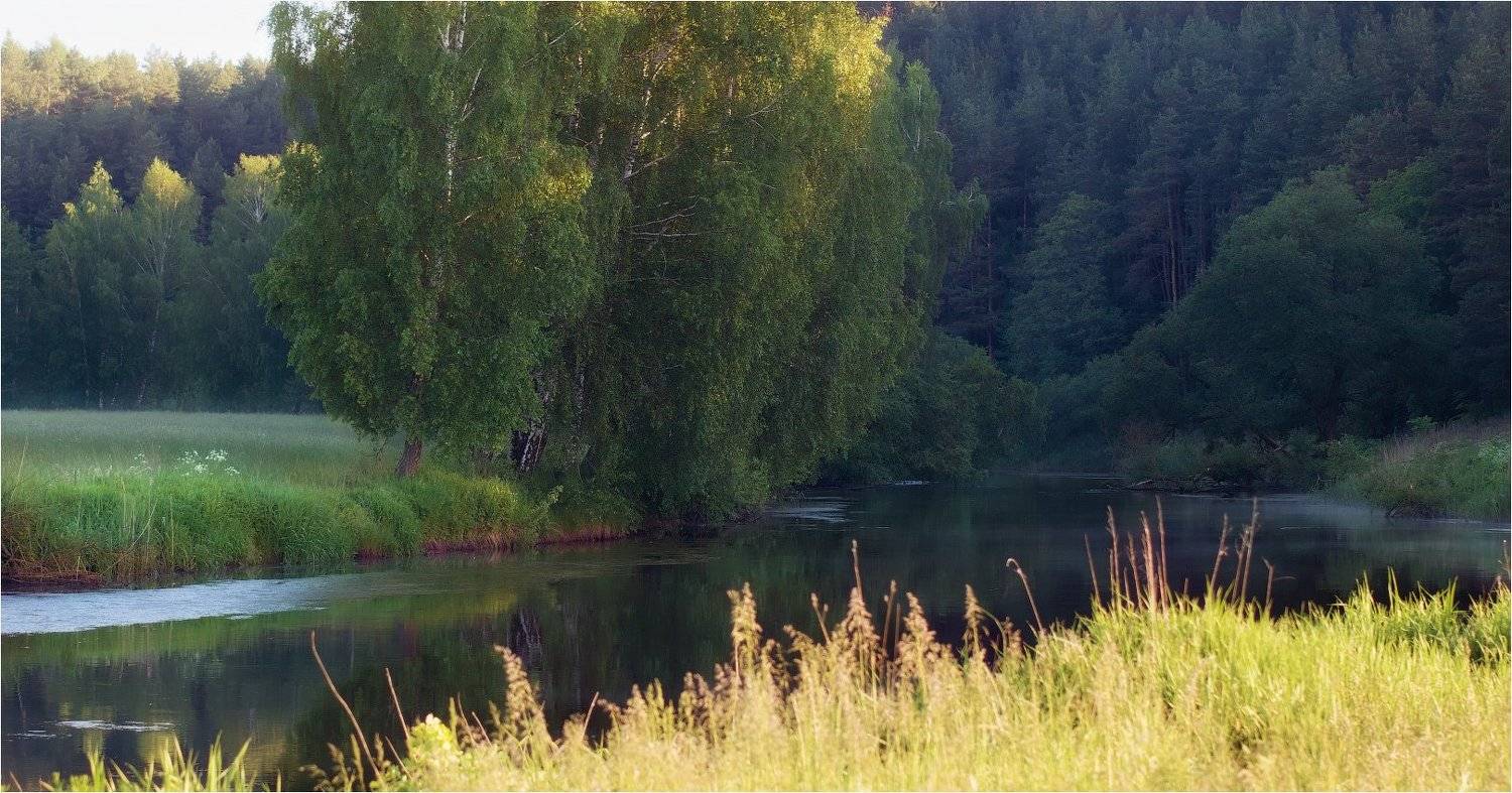 лес, утро, река,весна,, Сергей Шабуневич