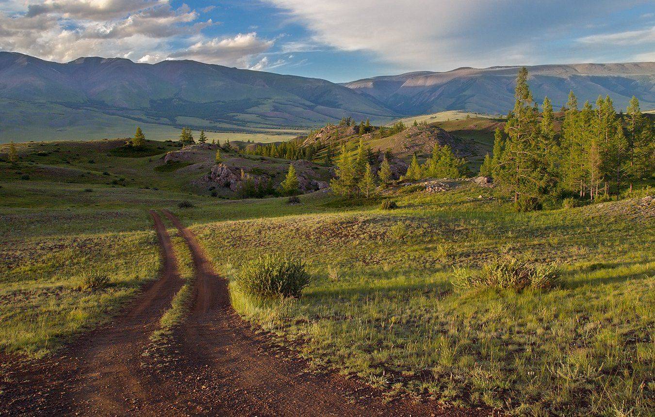 , Дмитрий Д.