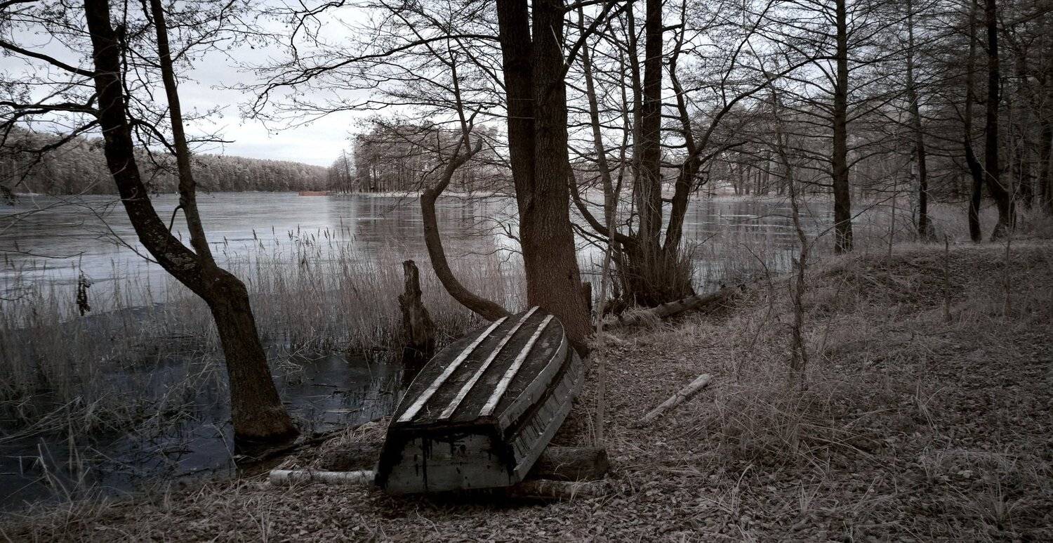 infrared,ик-фото,инфракрасное фото,инфракрасная фотография,пейзаж,природа,беларусь,зима, Sixten ( Сергей )