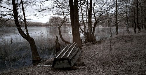 Рисунок из декабря. Инфракрасная фотография.