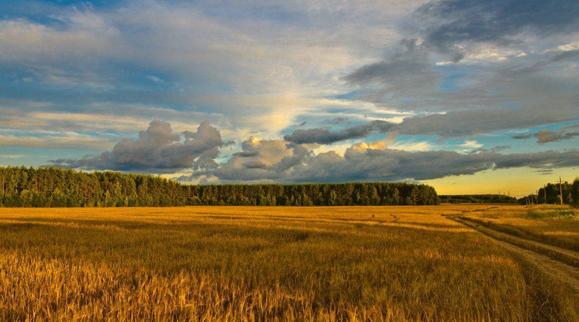 , Александр Березуцкий