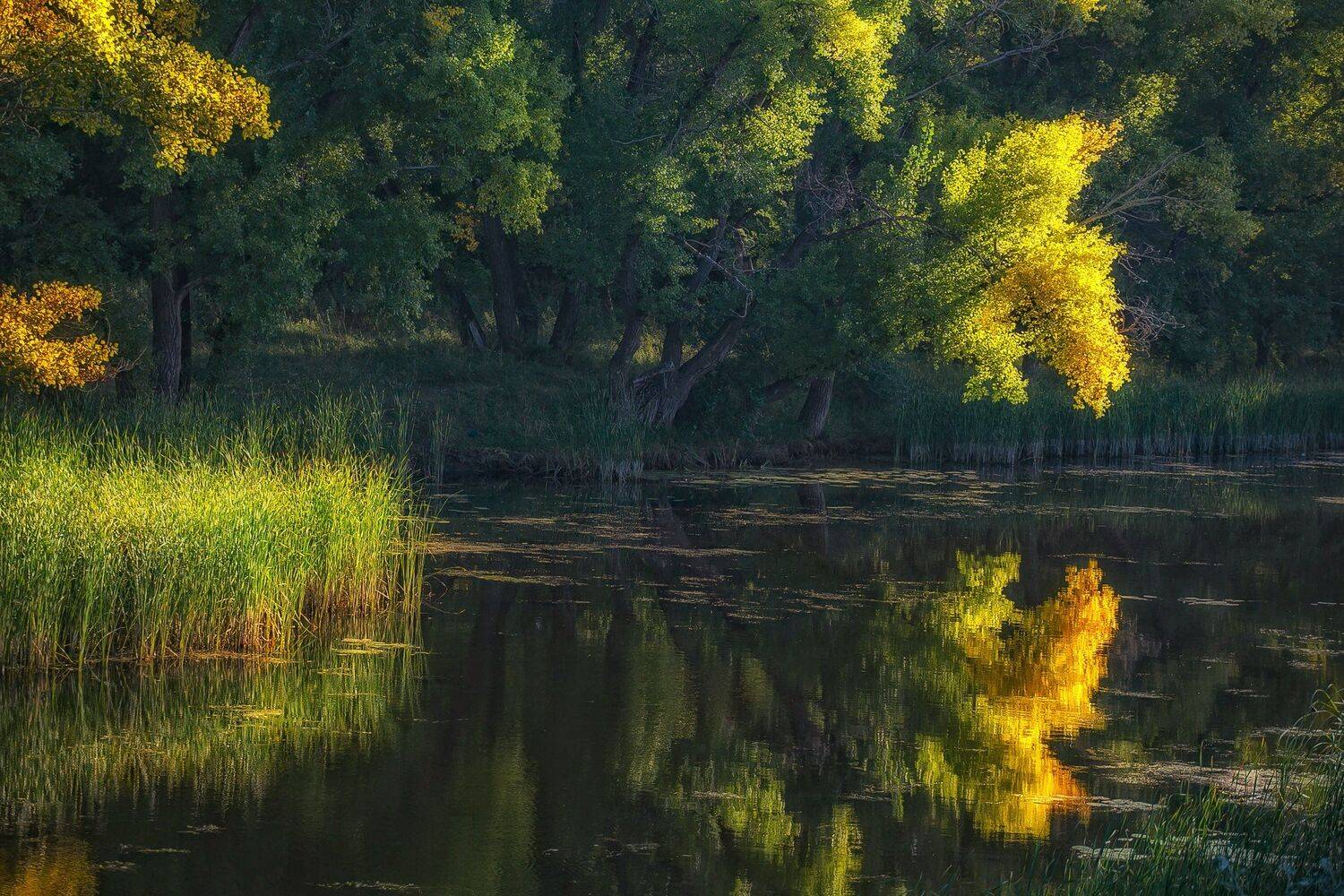 , Павел Сагайдак