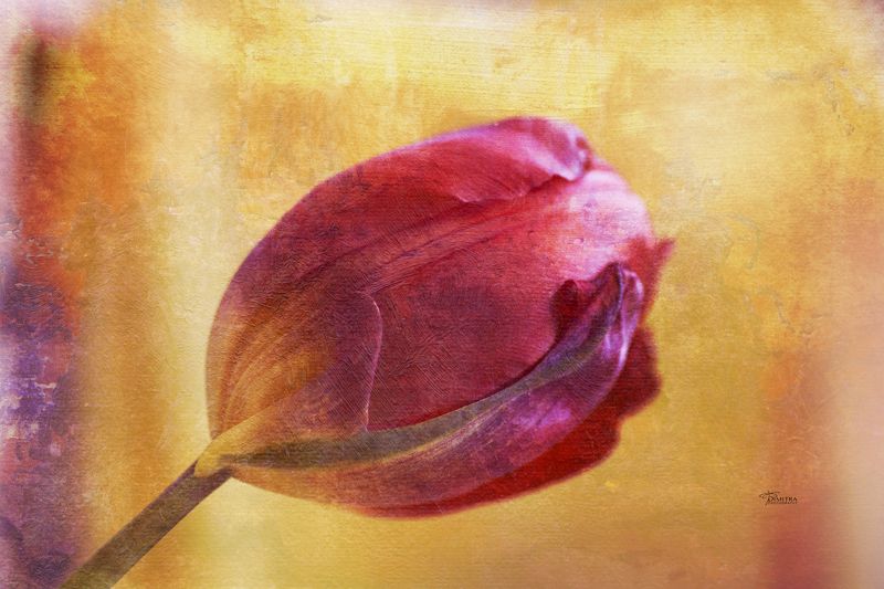 Огонь и любовь фото превью