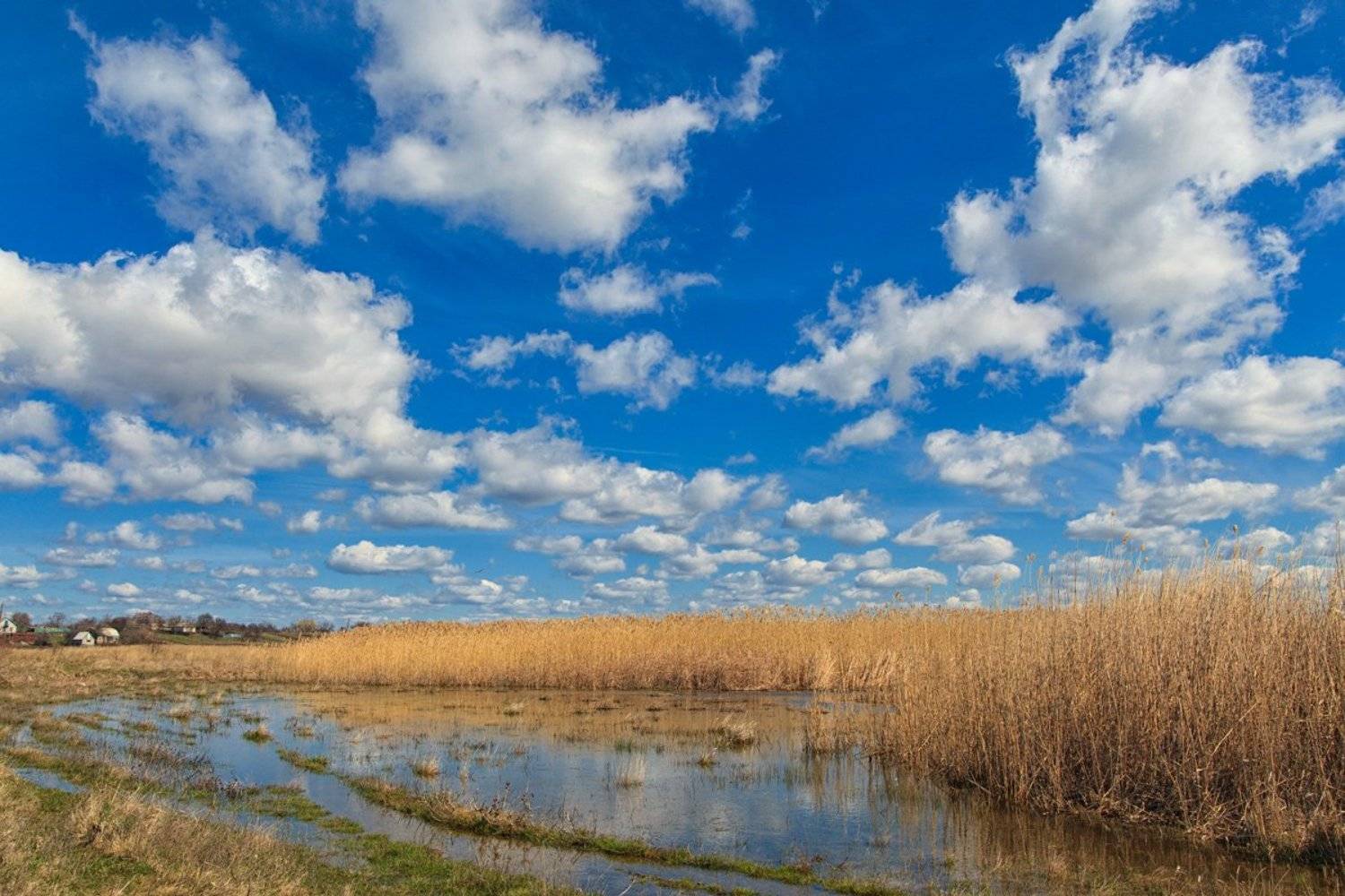 , Александр Войтенко