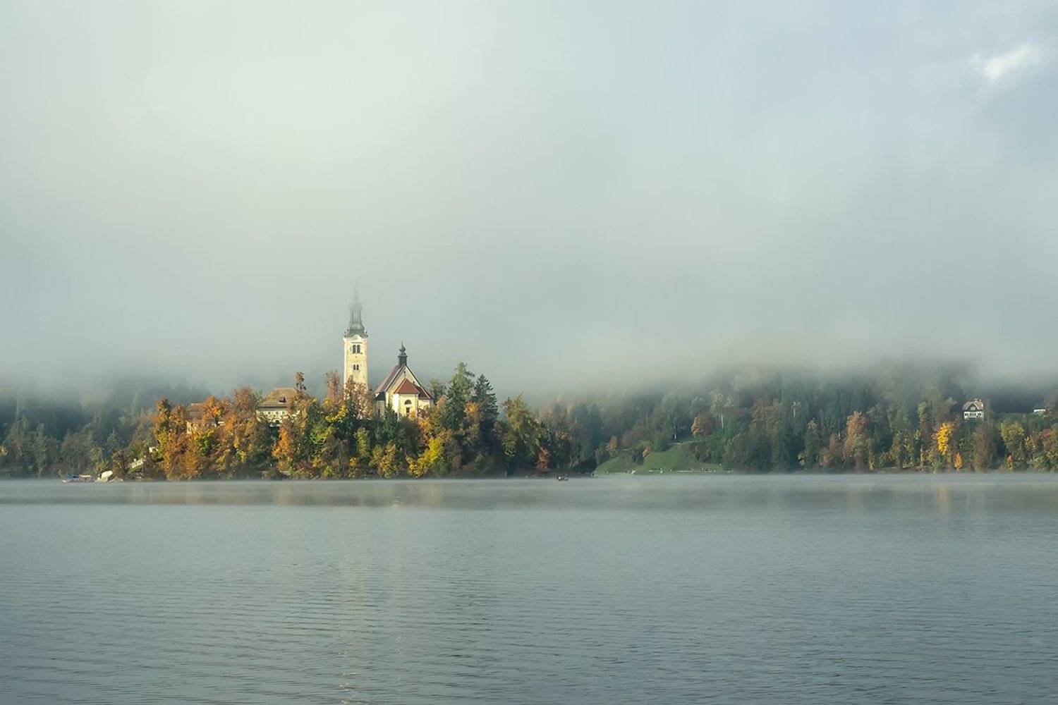 блед, Игорь Дубровский