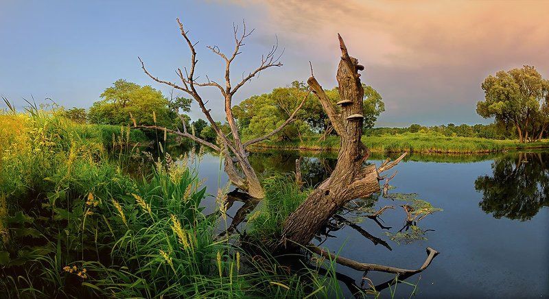 фотограф киев *** фото превью