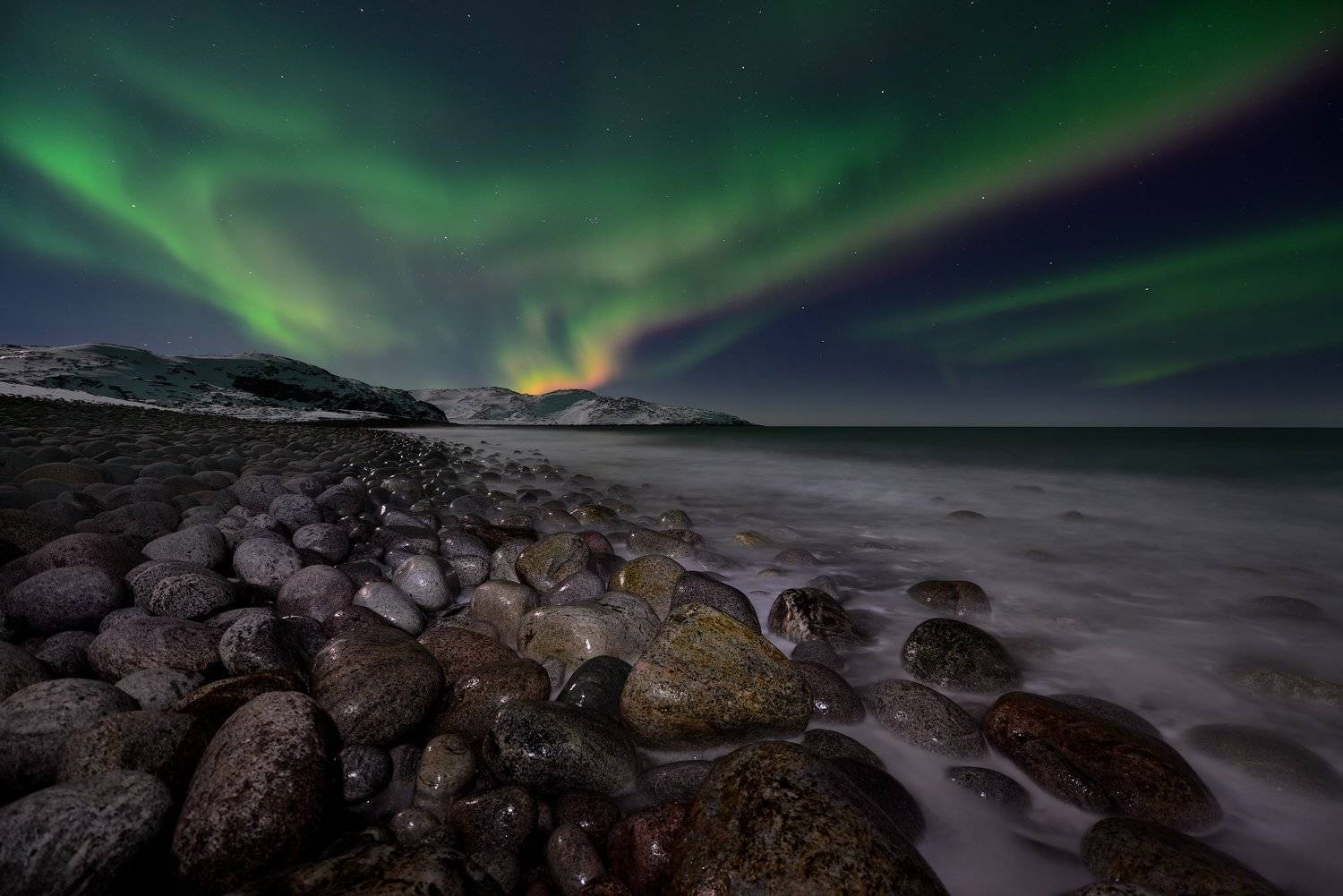 , Максим Евдокимов ( www.wildphotorus.ru )
