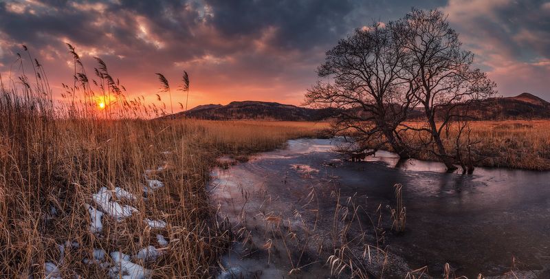 Прелюдия весны фото превью