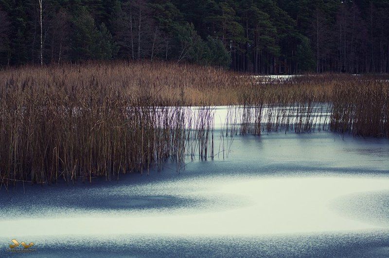Lake, ice, forest Lake фото превью