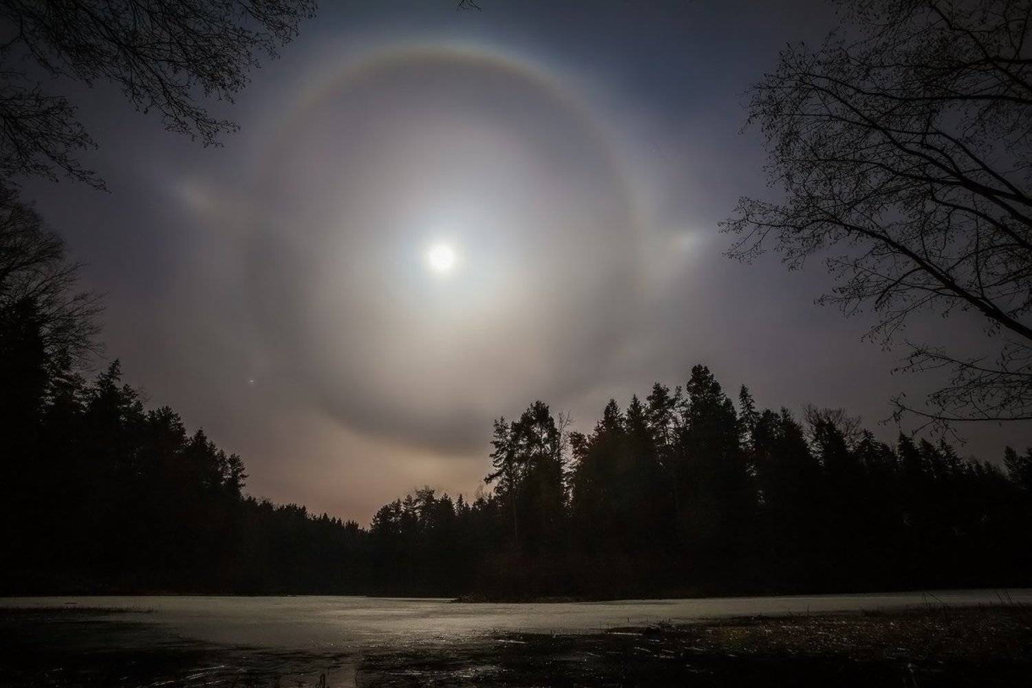 печерск,гало, луна, ночь, лес, озеро, зима, могилев, беларусь, Копычко Михаил