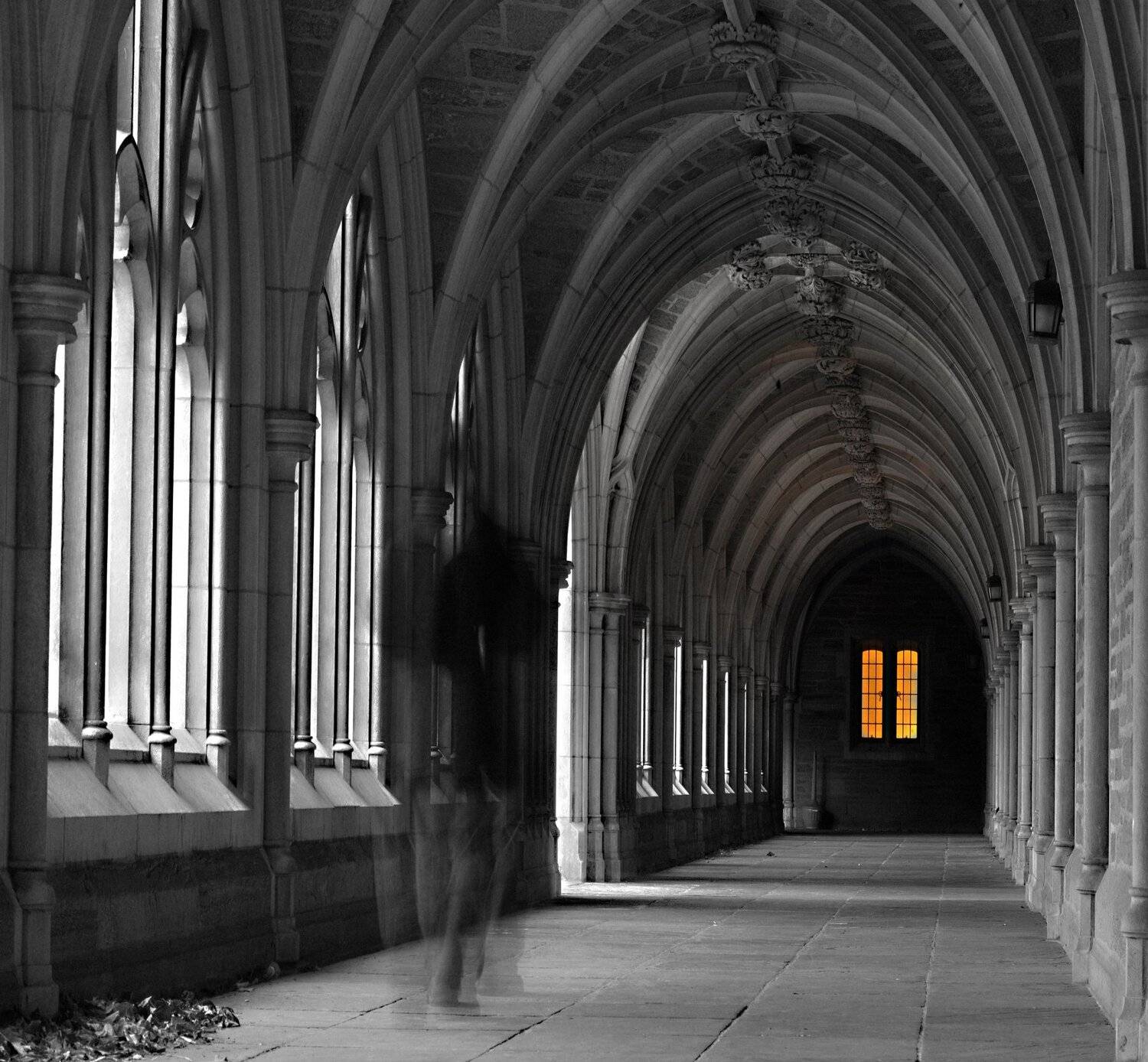 Perspective, isamonov