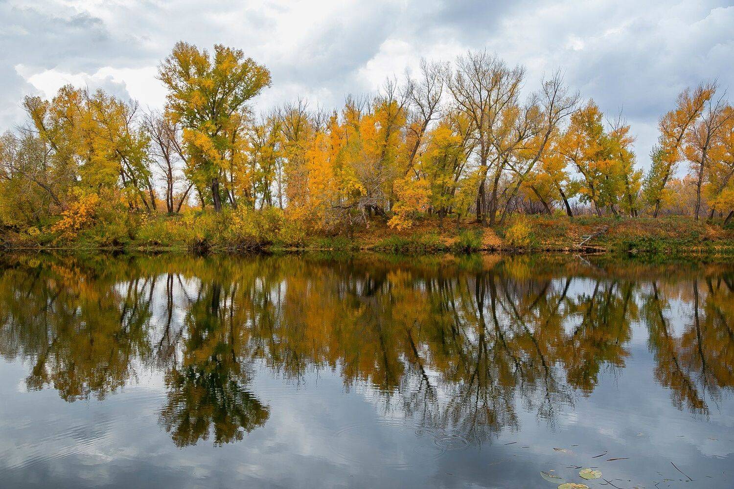 , Павел Сагайдак