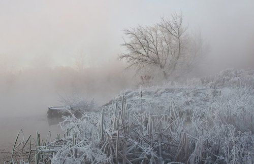 Холодное серебро Косой Горы