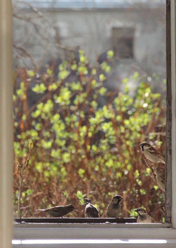 Март фото превью