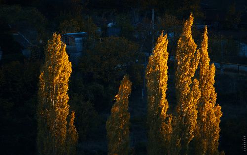 Золото Бахчисарая.