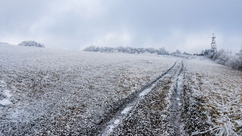 лес, горы, снег, никон, дорога, поле, вершина **** фото превью