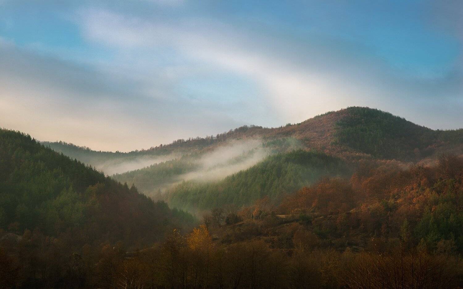 , Иван Димов