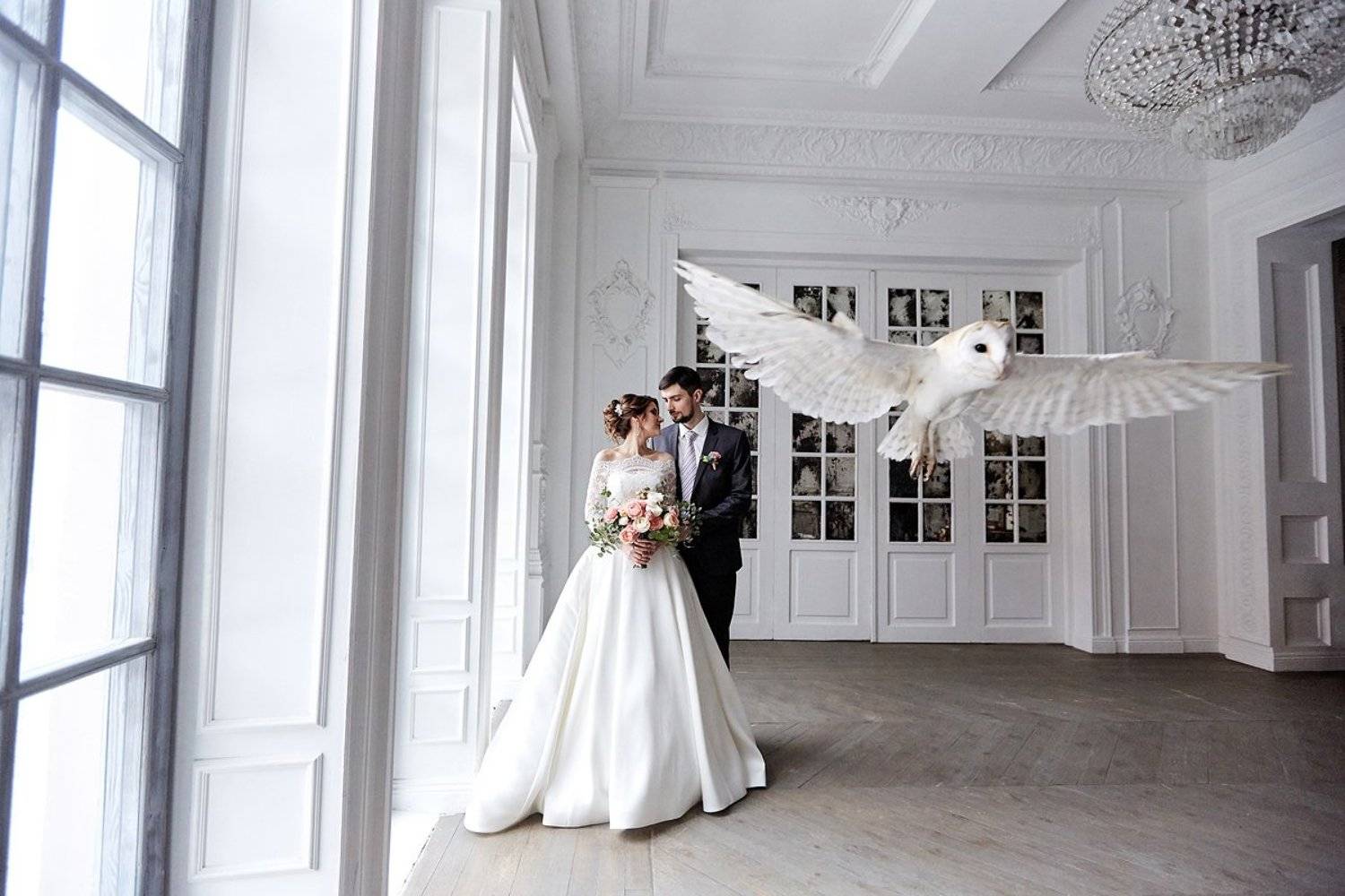 wedding, свадьба, сова, Слава Гребенкин